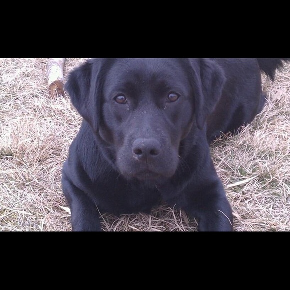 Meet your Posher - Picture 1 of 1